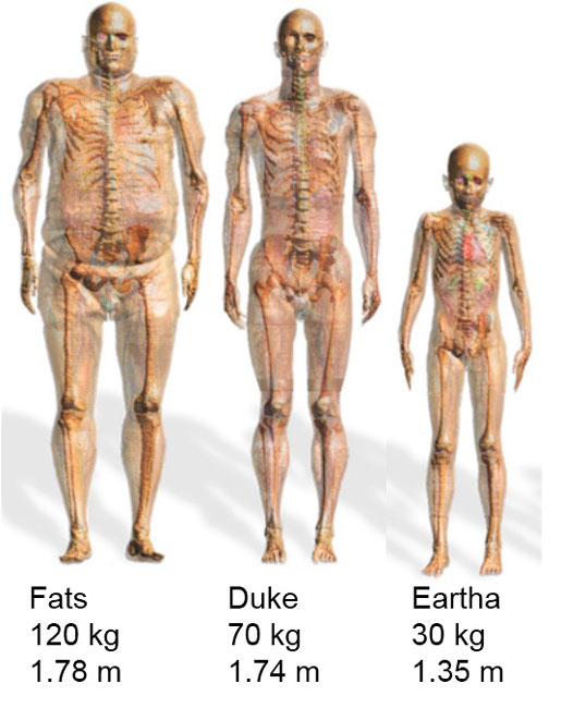 Abbildung 2: Die in der Studie verwendeten Körperphantome.